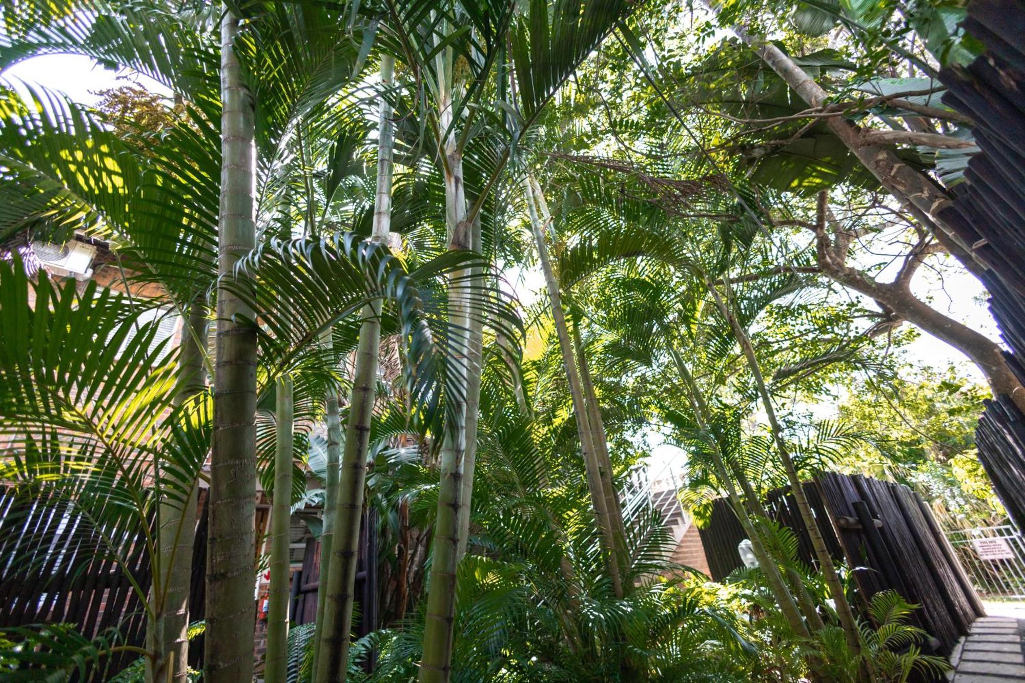 Apartamento Little Eden Saint Lucia Estuary Exterior foto